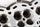 WSRD CYLINDER HEAD PACKAGES | CAN-AM X3 & SKI-DOO